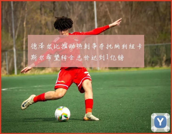 德泽尔比推动热刺争夺托纳利纽卡斯尔希望转会总价达到1亿镑