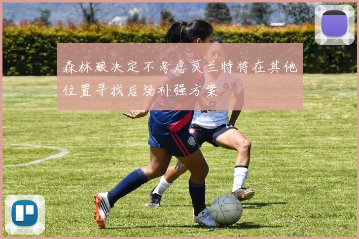 森林狼决定不考虑莫兰特将在其他位置寻找后场补强方案